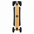 Evolve Bamboo GT/X Replacement Battery