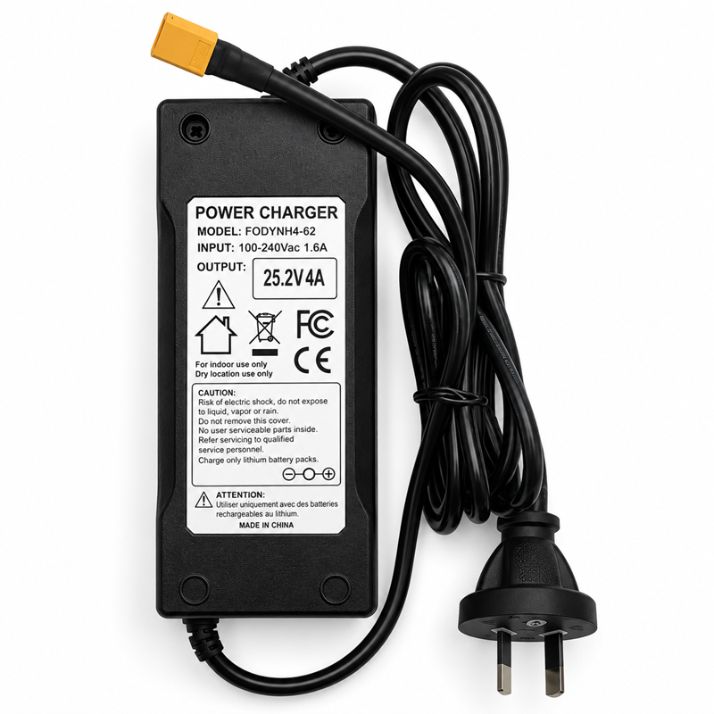 25.2V 4A 6S Charger